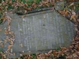 image of grave number 390485